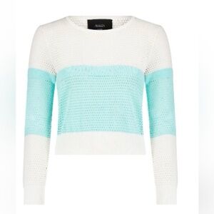 Aleeza Paris Katcy Mesh Top. Size 1X but fits like a large.